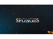 Sponges vid 1
